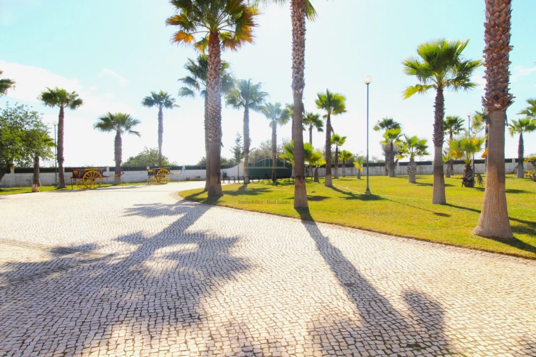 Moradia T5 para Venda em Guia Foto 15