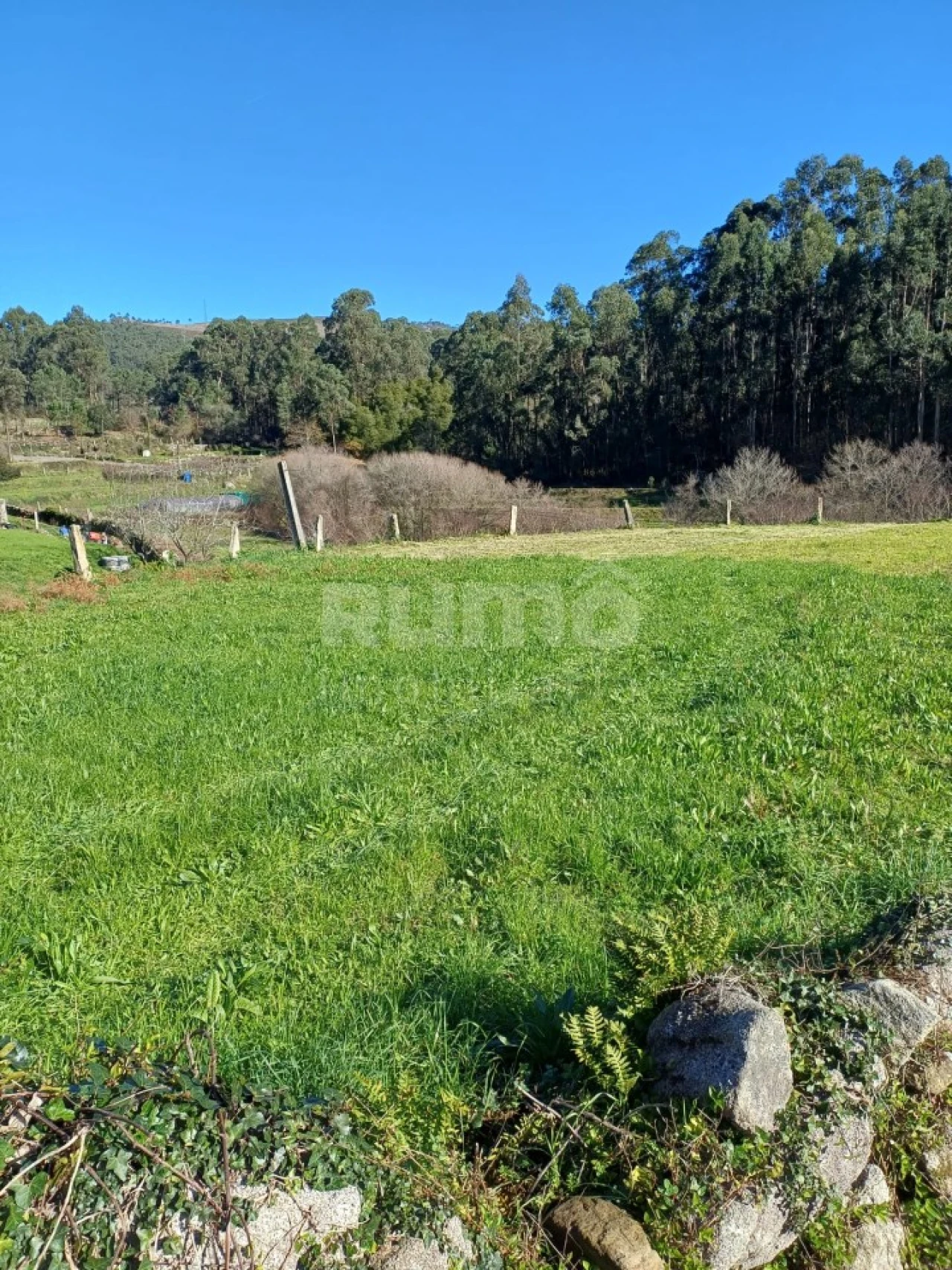 Terreno para Venda em Outeiro Foto 8