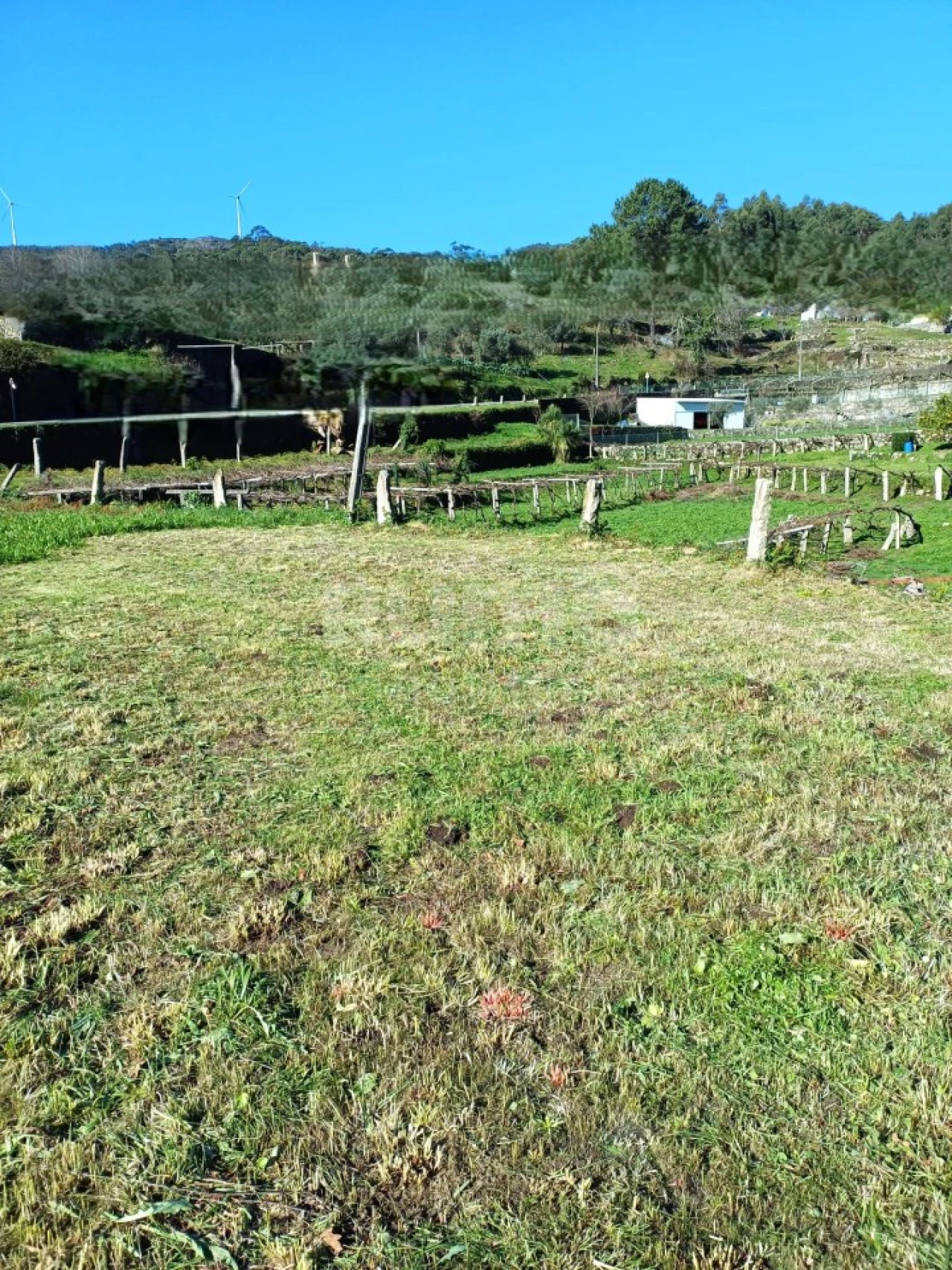Terreno para Venda em Outeiro Foto 9