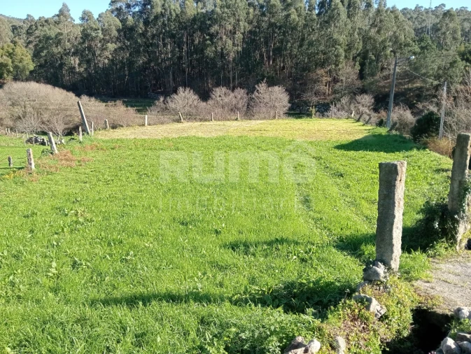 Terreno para Venda em Outeiro Foto 3