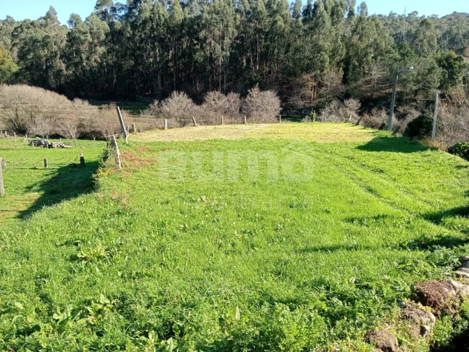 Terreno para Venda em Outeiro Foto 4