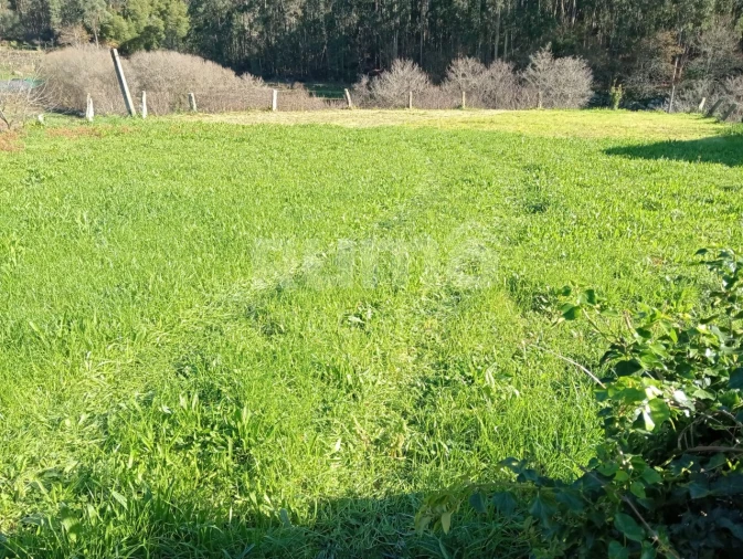 Terreno para Venda em Outeiro Foto 5