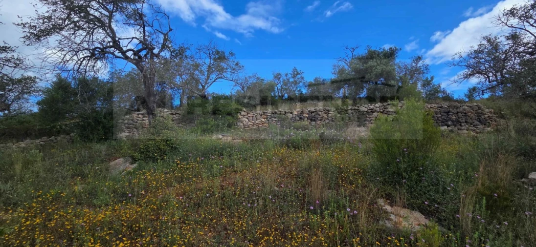 Quinta T2 para Venda em Paderne Foto 18