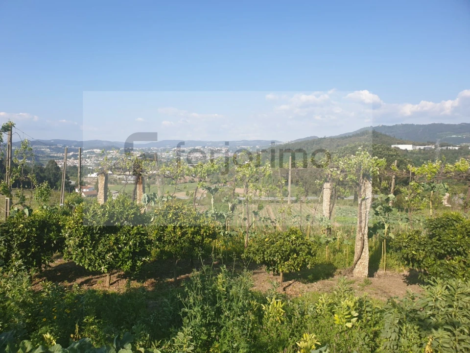 Quinta para Venda em Candoso (São Martinho) Foto 2