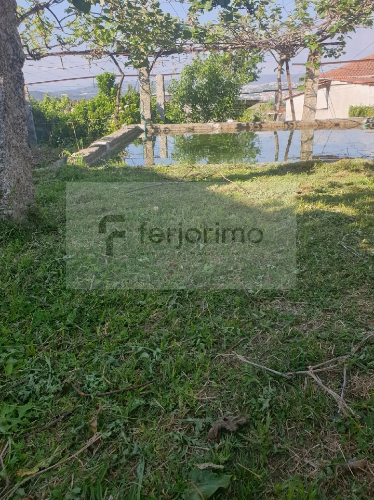 Quinta para Venda em Candoso (São Martinho) Foto 3