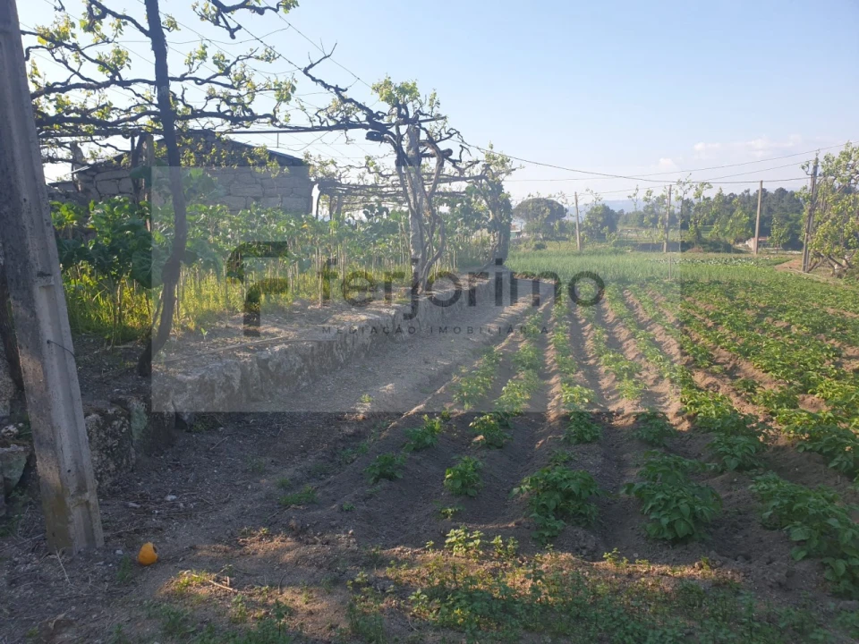 Quinta para Venda em Candoso (São Martinho) Foto 9