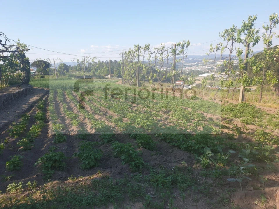 Quinta para Venda em Candoso (São Martinho) Foto 10