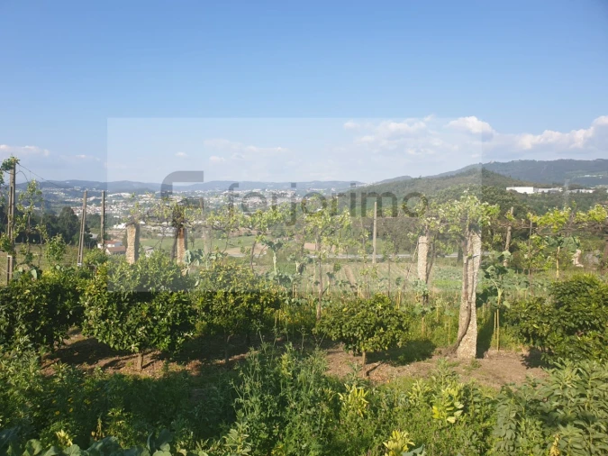Quinta para Venda em Candoso (São Martinho) Foto 2