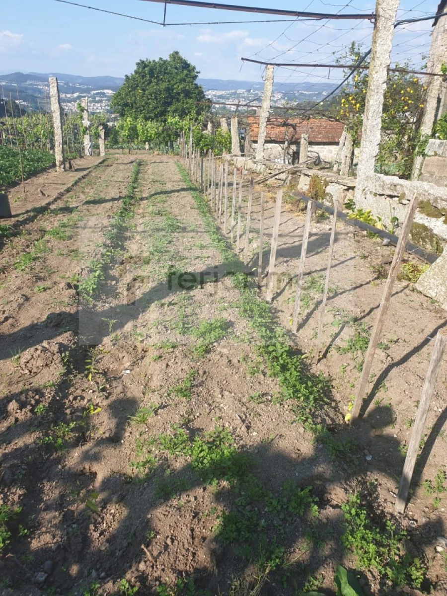 Quinta para Venda em Candoso (São Martinho) Foto 4