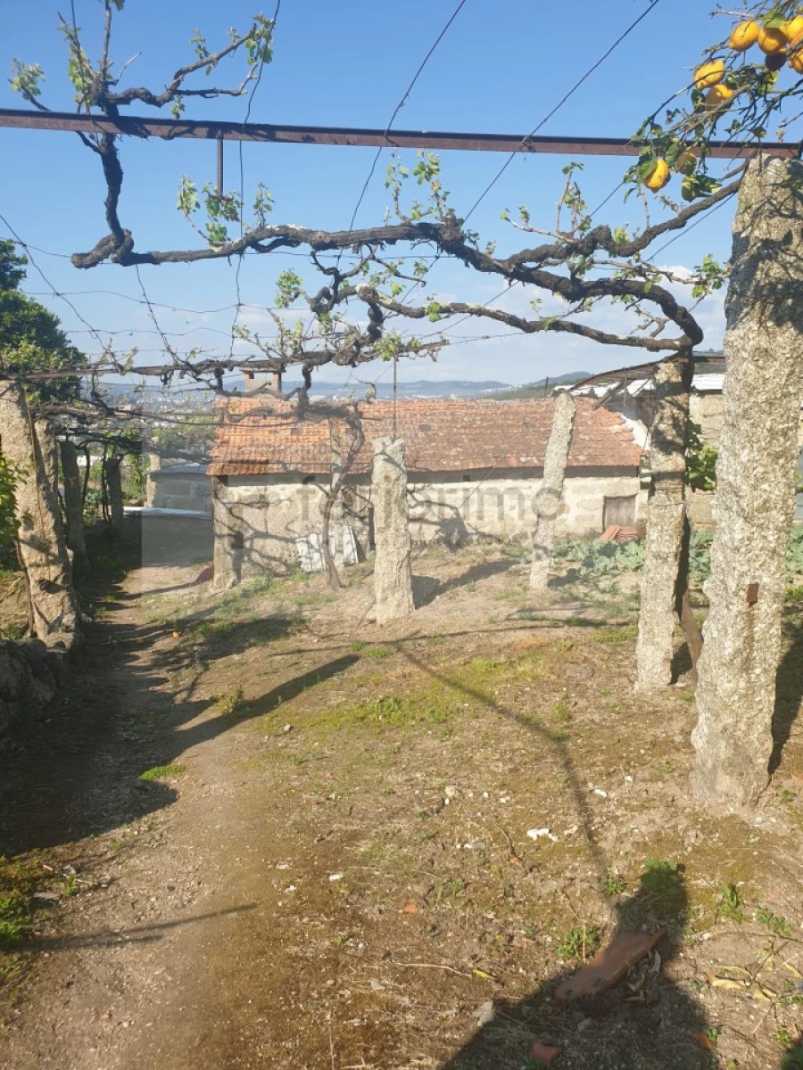 Quinta para Venda em Candoso (São Martinho) Foto 6
