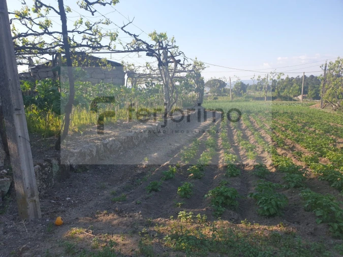 Quinta para Venda em Candoso (São Martinho) Foto 9