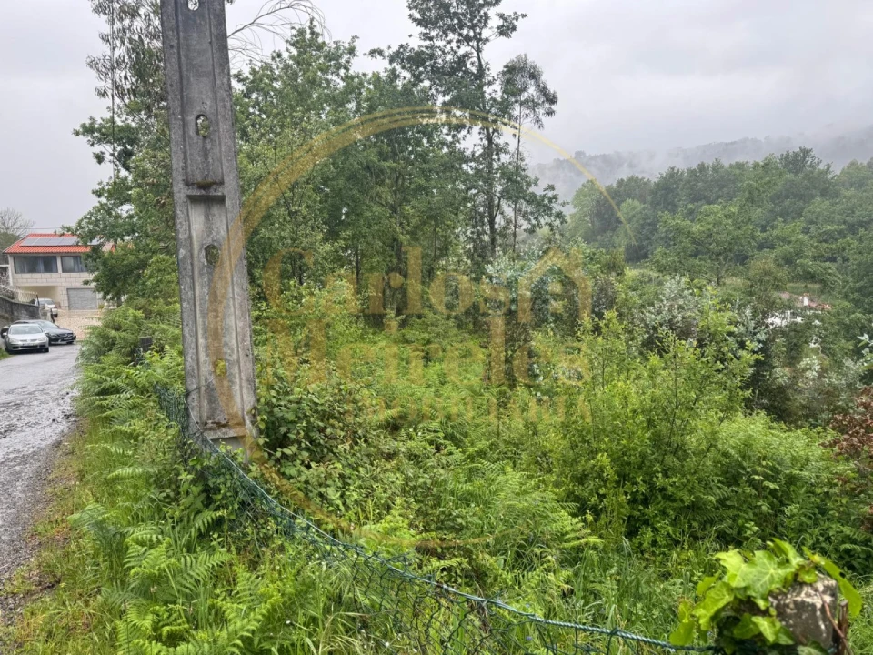 Terreno para Venda em Ribeira do Neiva Foto 2