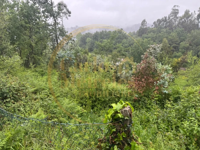 Terreno para Venda em Ribeira do Neiva Foto 3