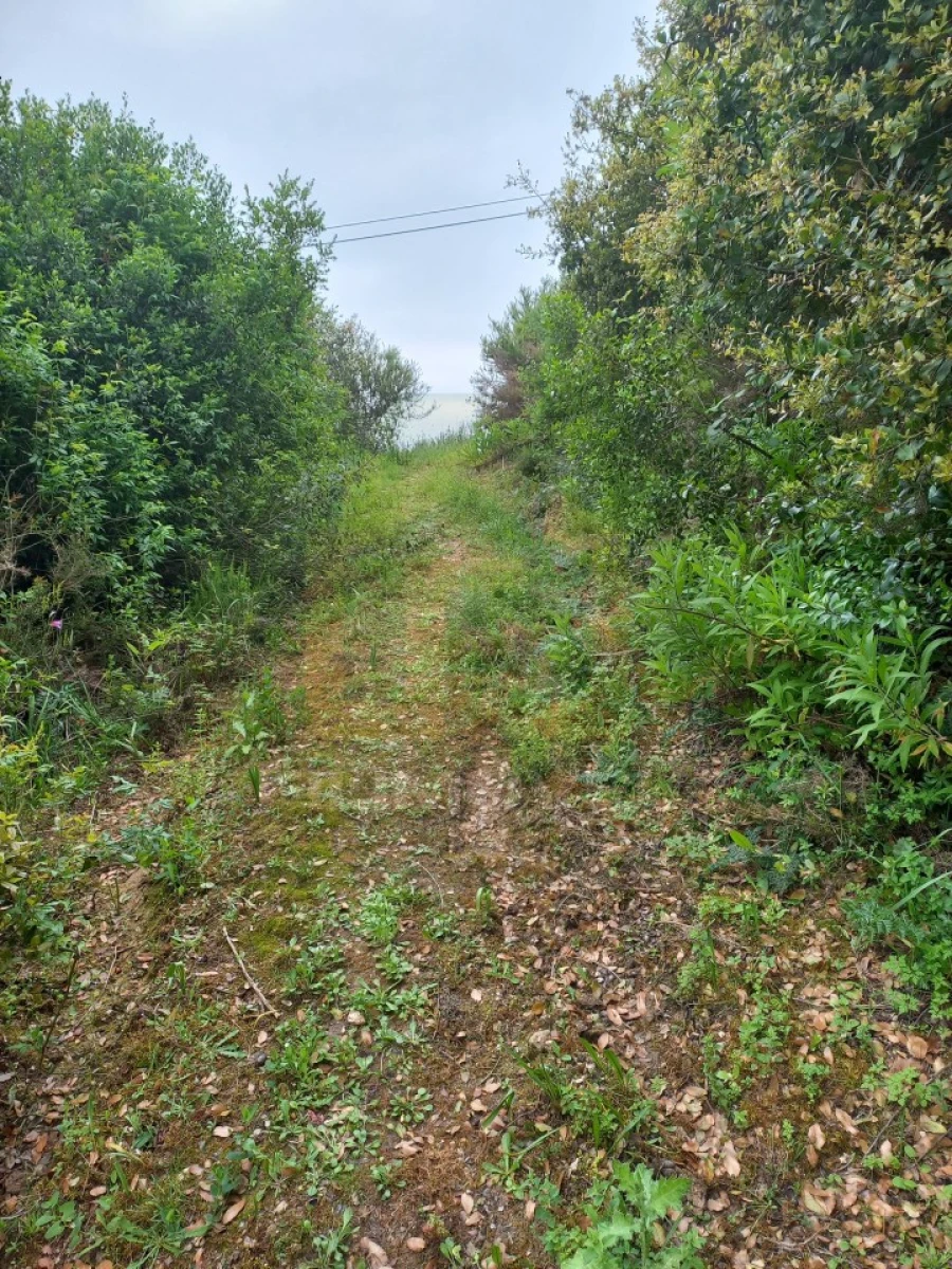 Terreno para Venda em Atouguia