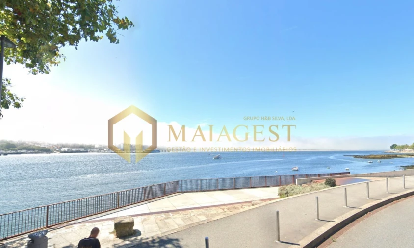 Apartamento T1 para Arrendamento em Lordelo do Ouro e Massarelos Foto 15