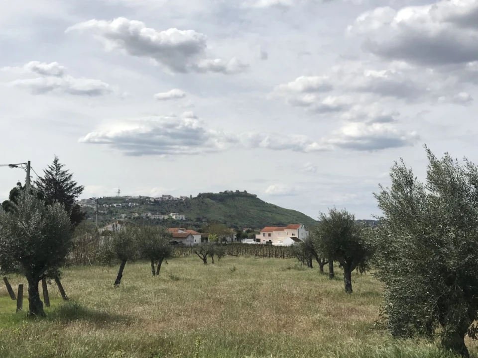 Terreno para Venda em Pego Foto 2