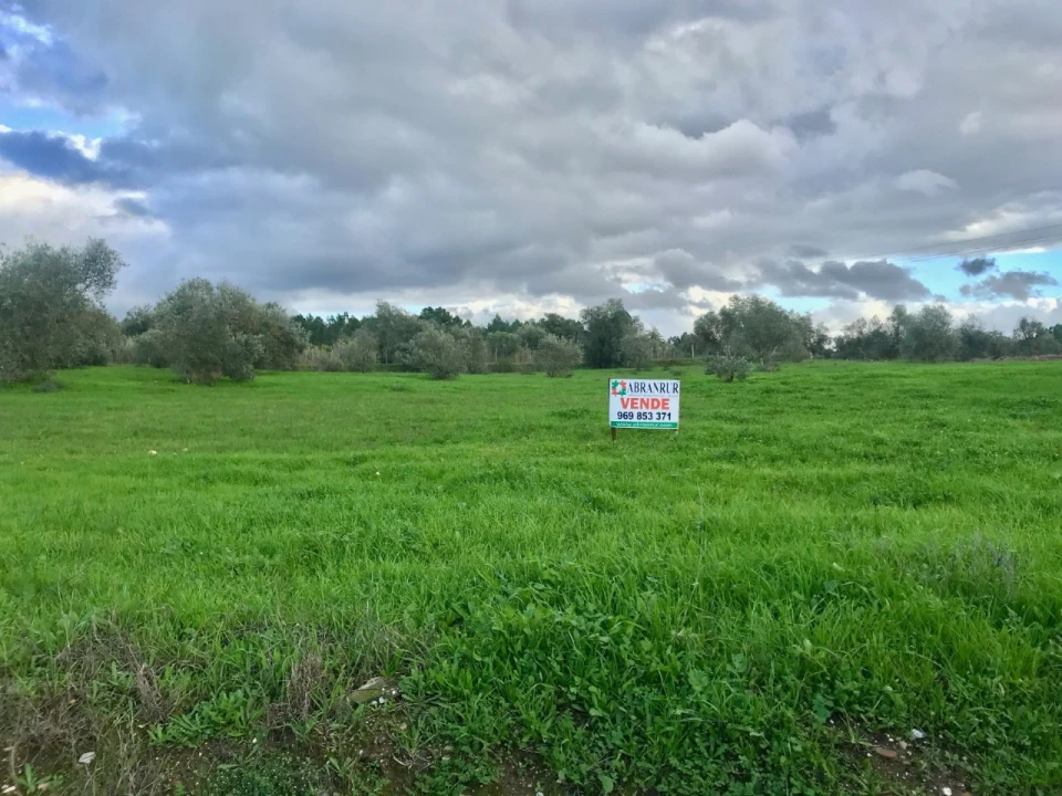 Terreno para Venda em Pego Foto 1