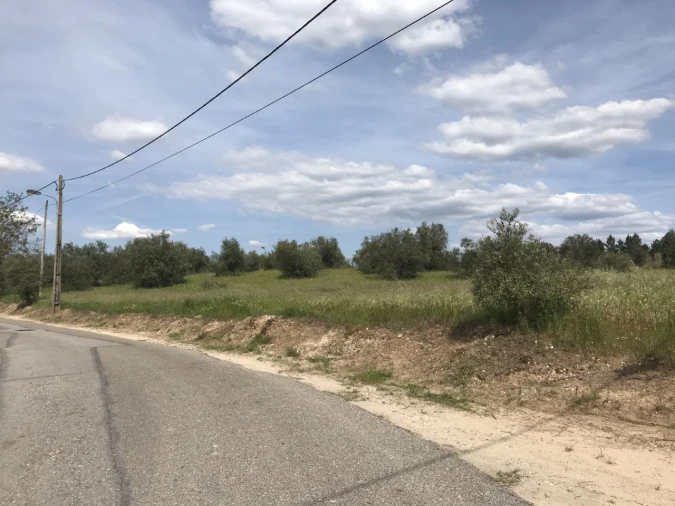 Terreno para Venda em Pego Foto 5