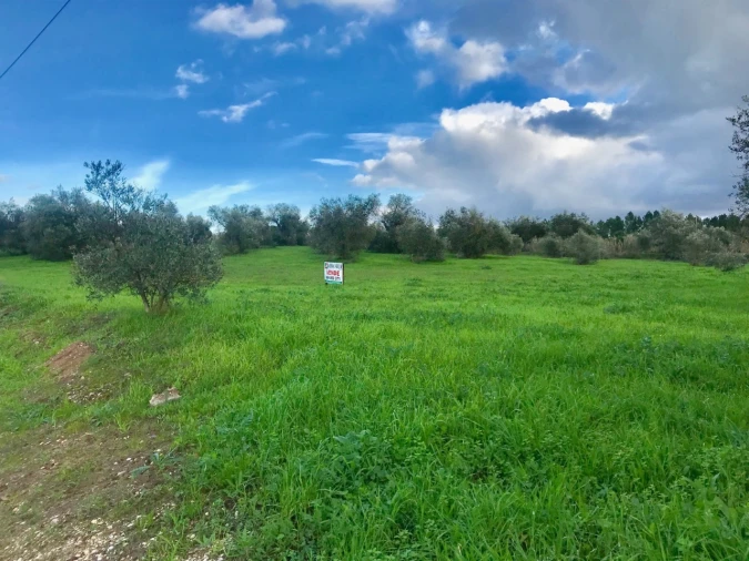 Terreno para Venda em Pego Foto 9