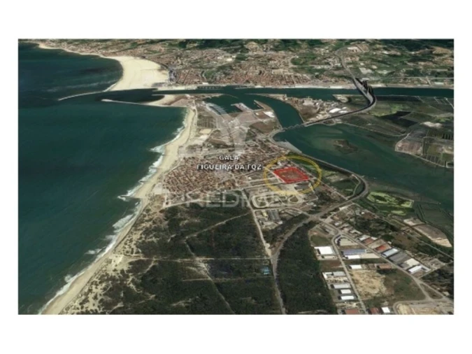 Terreno para Venda em São Pedro Foto 5