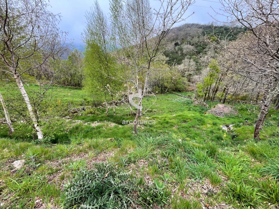 Moradia para Venda em Gavieira Foto 10