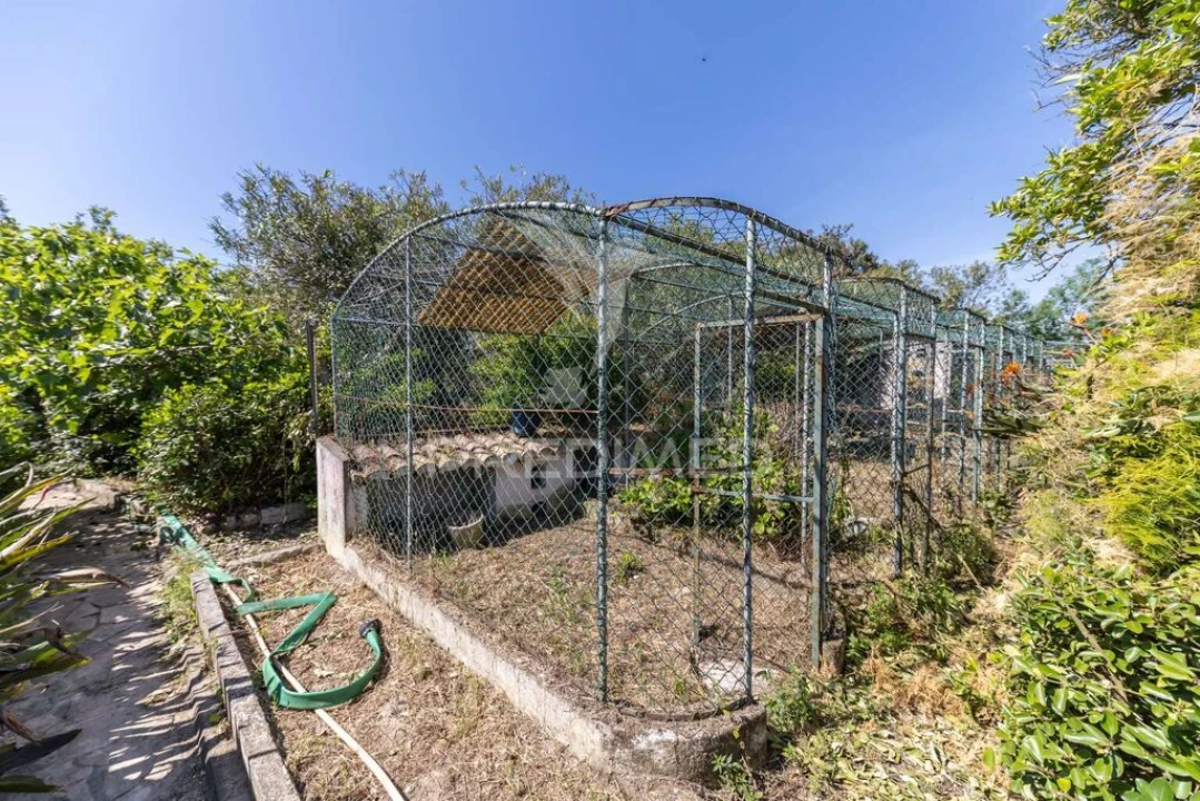 Quinta T5 para Venda em Santo Antonio da Charneca Foto 19