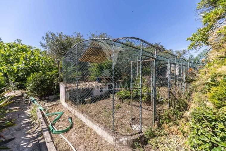 Quinta T5 para Venda em Santo Antonio da Charneca Foto 19