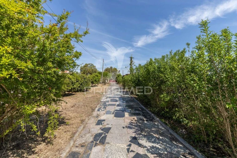 Quinta T5 para Venda em Santo Antonio da Charneca Foto 20