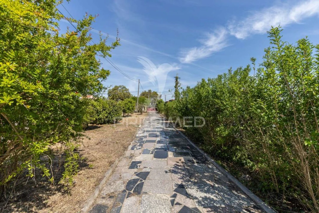 Quinta T5 para Venda em Santo Antonio da Charneca Foto 20