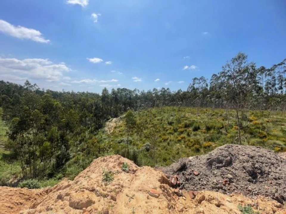Terreno para Venda em Marrazes e Barosa Foto 4