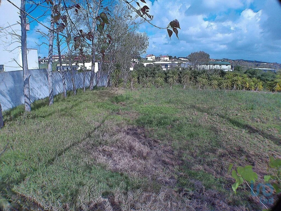 Terreno para Venda em Lourinhã e Atalaia Foto 3