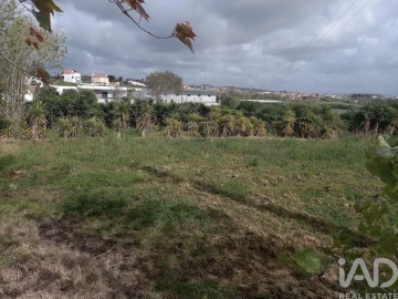 Terreno para Venda em Lourinhã e Atalaia