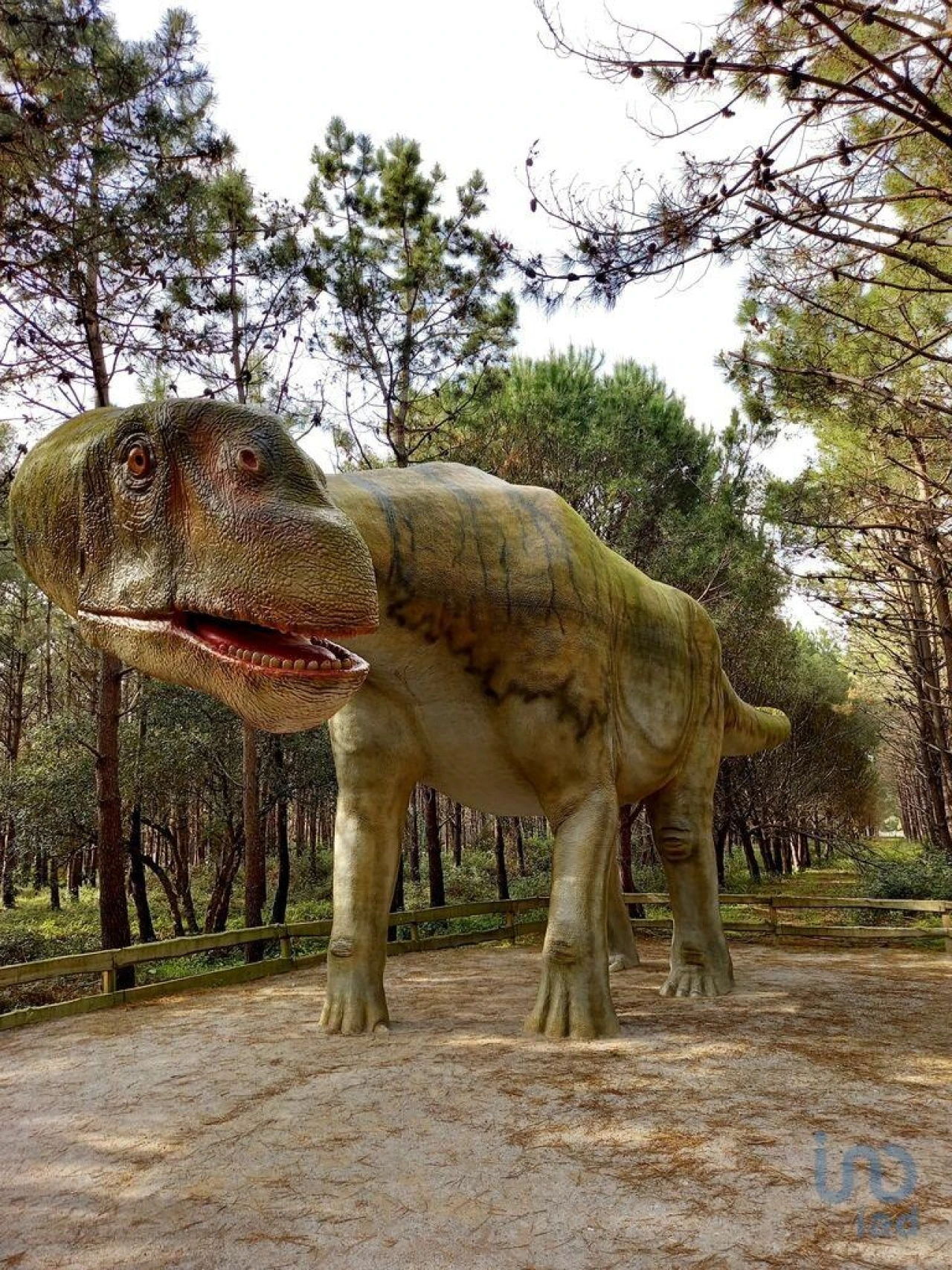 Terreno para Venda em Lourinhã e Atalaia Foto 8