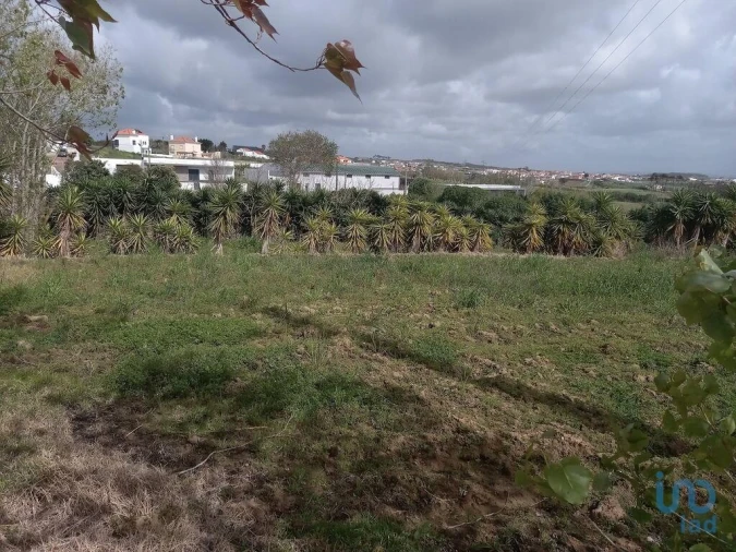 Terreno para Venda em Lourinhã e Atalaia Foto 4