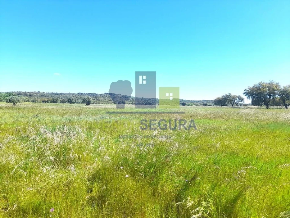 Terreno para Venda em Vila Nova da Baronia Foto 5