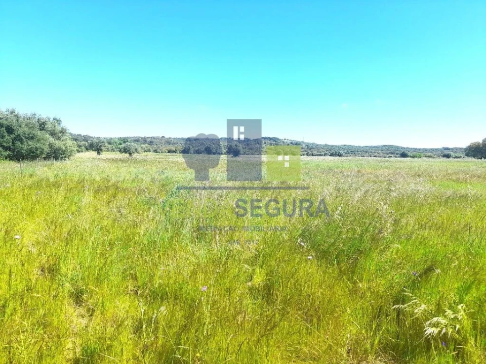 Terreno para Venda em Vila Nova da Baronia Foto 6