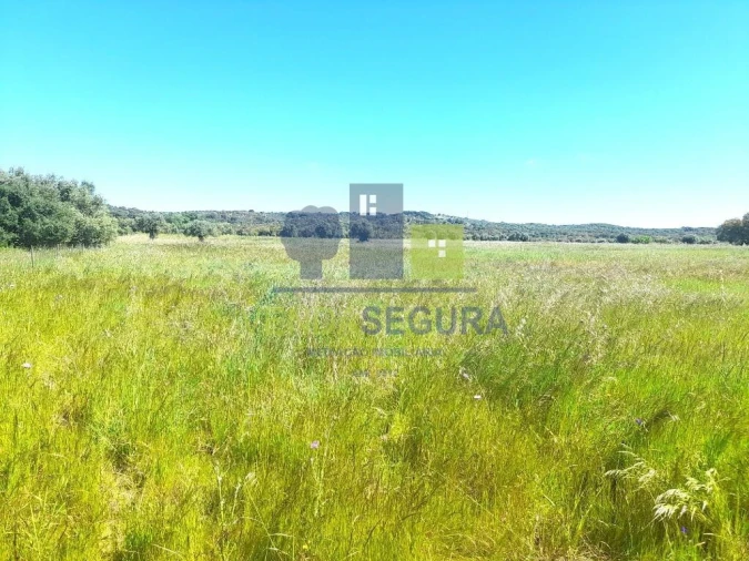 Terreno para Venda em Vila Nova da Baronia Foto 6