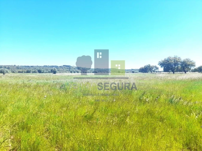 Terreno para Venda em Vila Nova da Baronia Foto 3