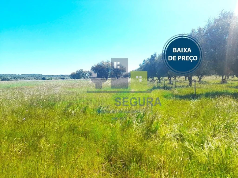 Terreno para Venda em Vila Nova da Baronia Foto 1