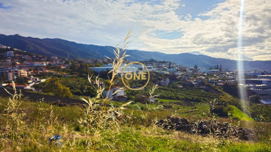 Terreno para Venda em São Martinho Foto 6