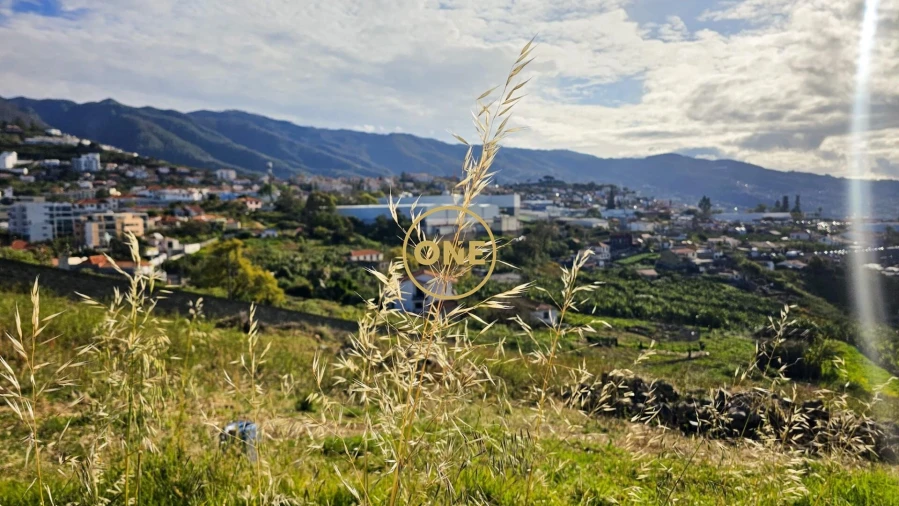 Terreno para Venda em São Martinho Foto 2