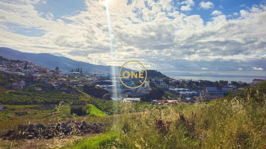 Terreno para Venda em São Martinho Foto 8