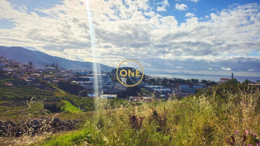 Terreno para Venda em São Martinho Foto 4