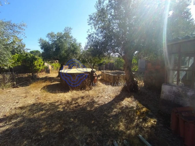 Moradia T2 para Venda em Casais e Alviobeira Foto 16