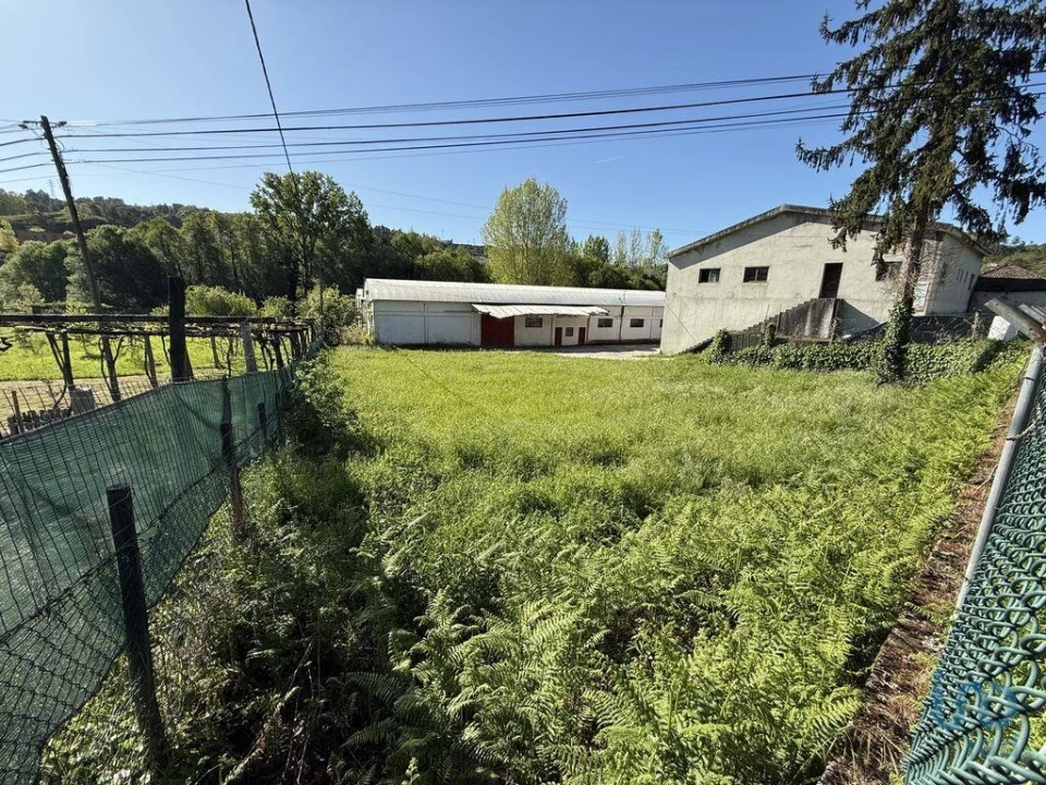 Terreno para Venda em Parada de Cunhos Foto 10