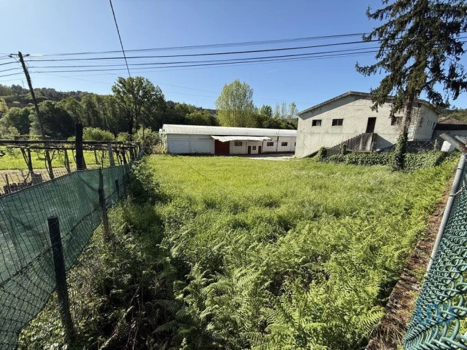 Terreno para Venda em Parada de Cunhos Foto 10