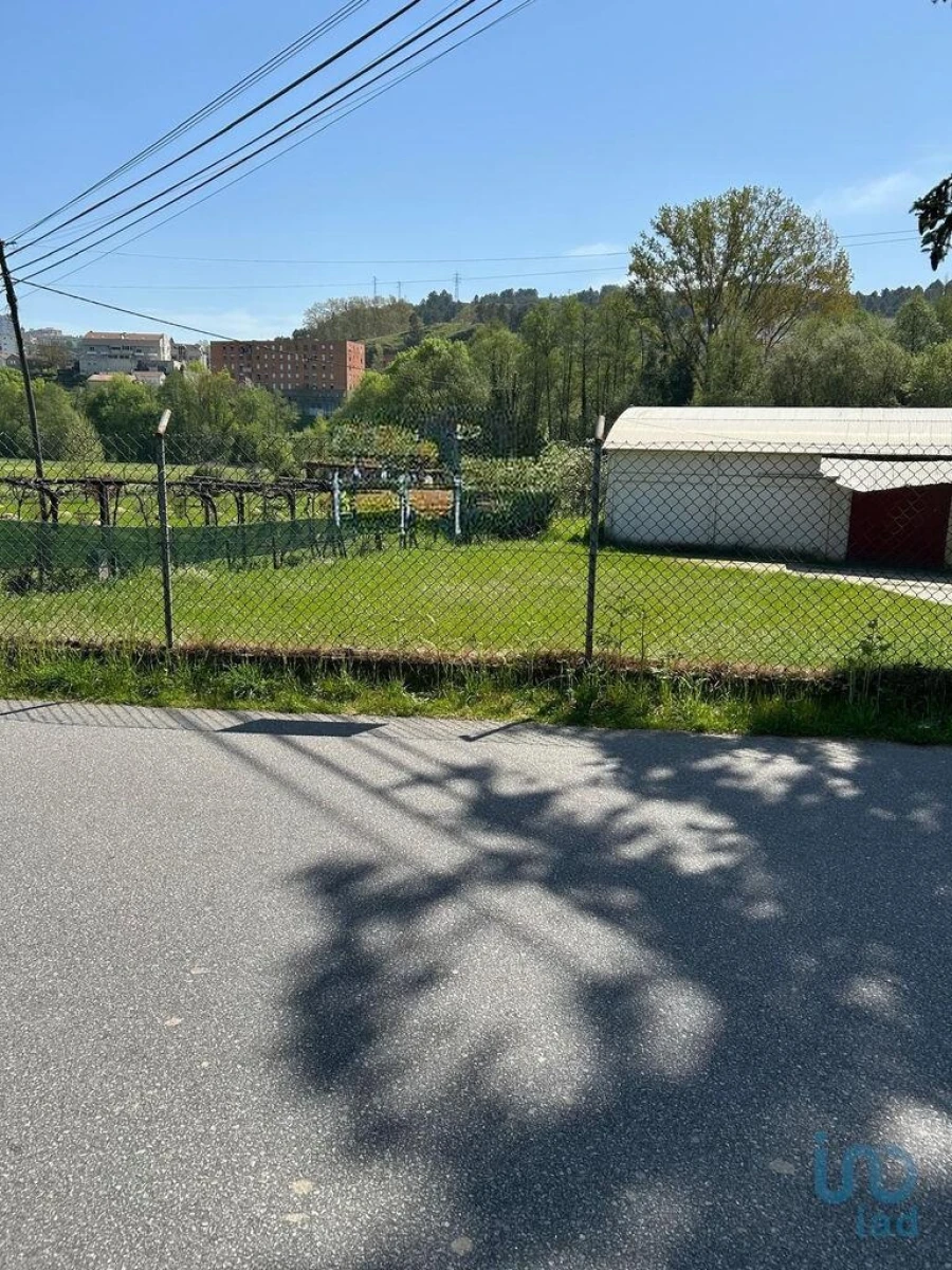 Terreno para Venda em Parada de Cunhos Foto 2