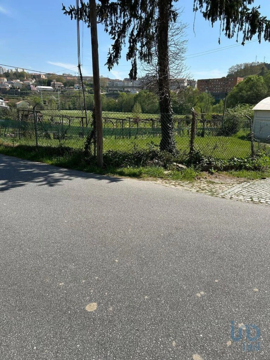 Terreno para Venda em Parada de Cunhos Foto 5