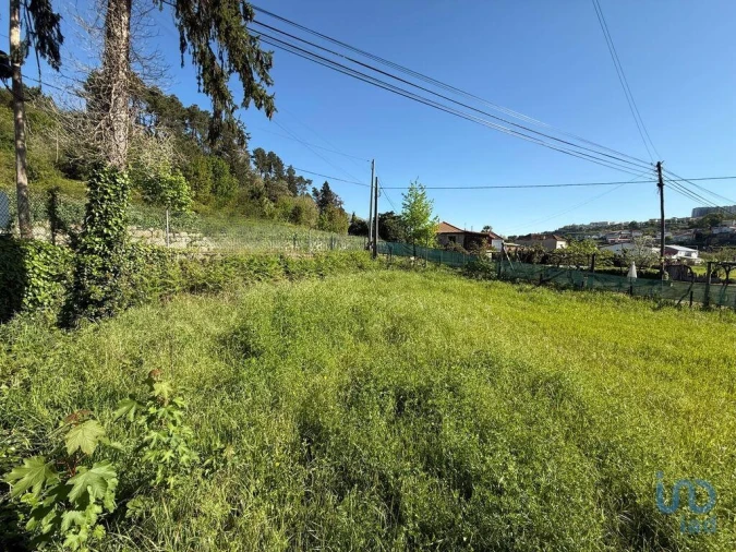 Terreno para Venda em Parada de Cunhos Foto 15