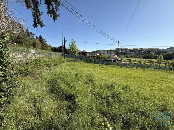 Terreno para Venda em Parada de Cunhos Foto 8